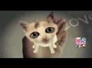 Moby: Dream About Me