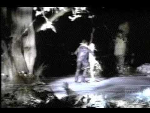 Enigma: Beyond the Invisible
