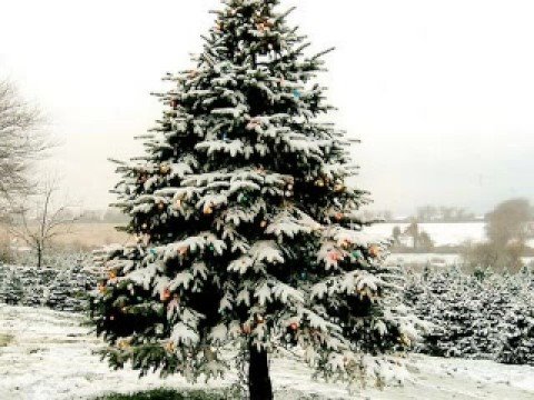 John Lennon: Happy Christmas