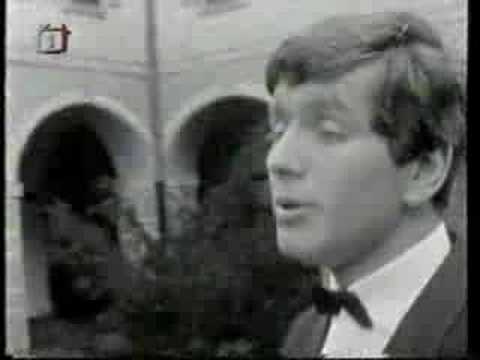 Pavel Novák: Pihovatá dívka