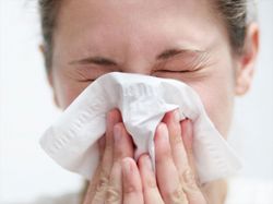 Pylové alergie hrozí především k večeru a za bouřky