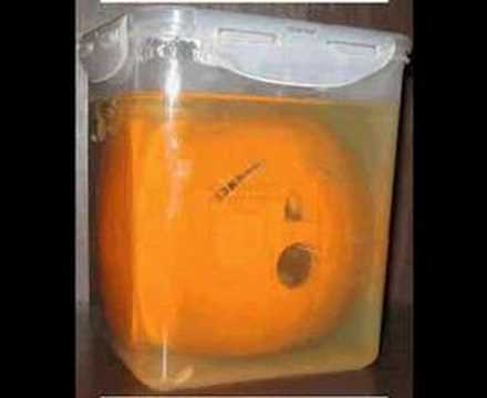 Extreme pumpkins