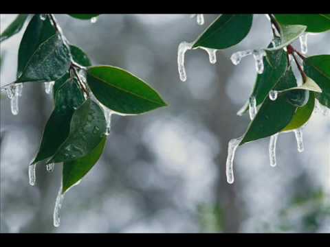 Enya: Amid The Falling Snow