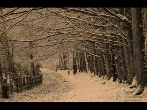 Elvis Presley: Silent Night