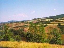 Nekvalita plodenia plodí nekvalitu