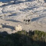 Kolymbia 2008/10